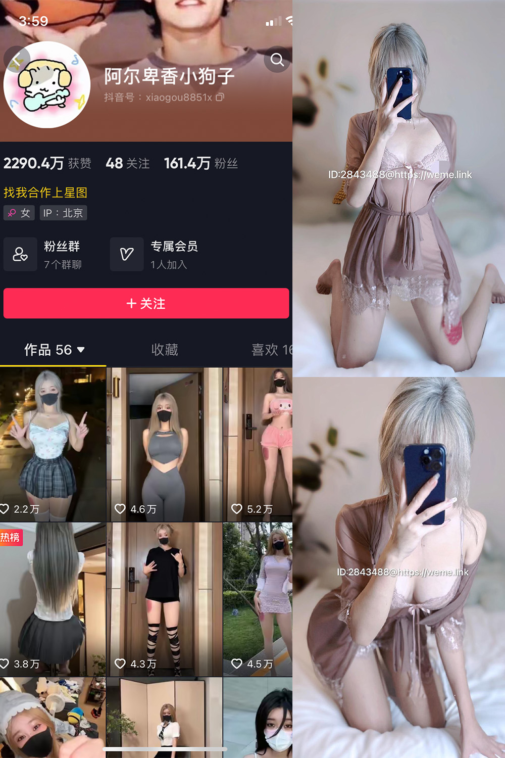 抖音 阿尔卑香小狗子 微密圈  NO.045期 【39P】最新至：2026.6.9-欲兔