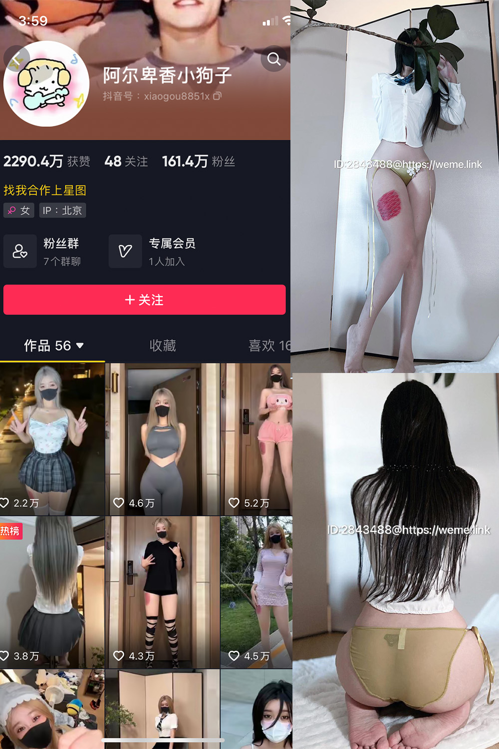 抖音 阿尔卑香小狗子 微密圈  NO.047期 【39P】最新至：2024.6.10-欲兔