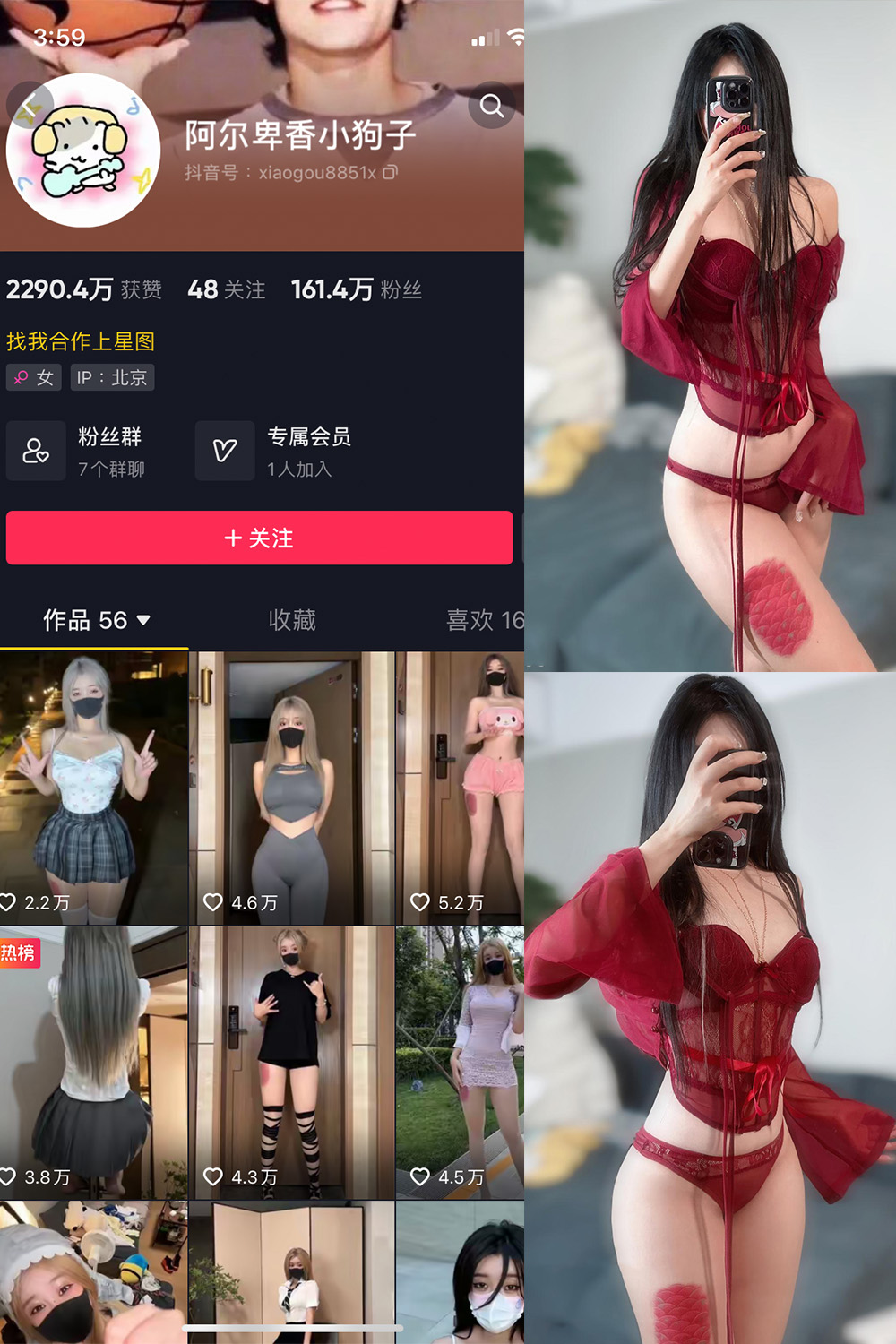 抖音 阿尔卑香小狗子 微密圈  NO.056期 【10P2V】最新至：2024.8.25-欲兔